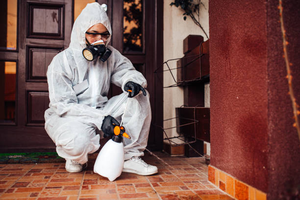 Reliable Wasp Removal contractor in Watertown Town, MA by Show Me Pest Control